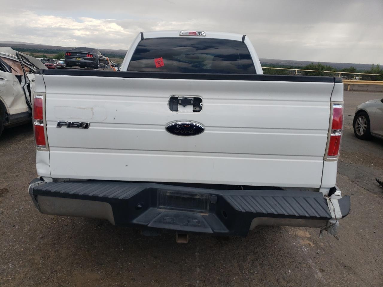 2010 FORD F-150