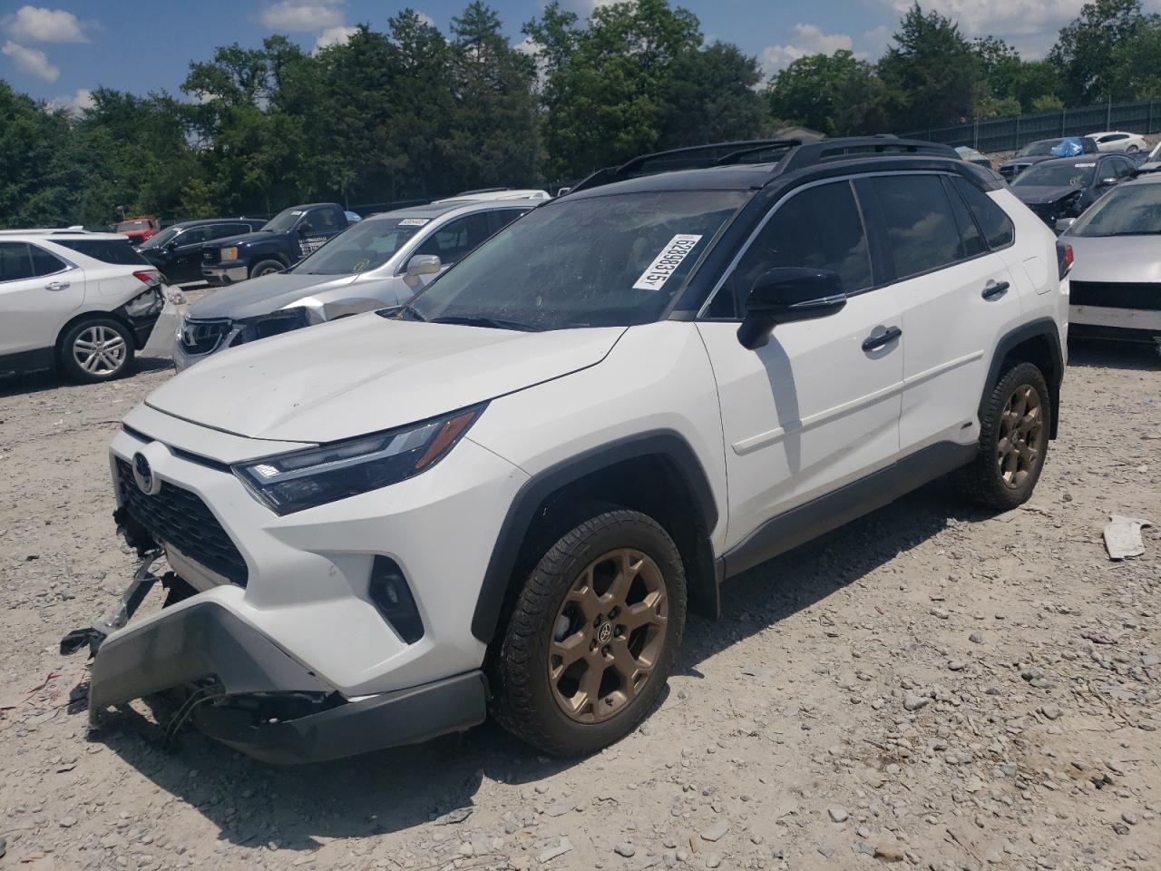 2024 TOYOTA RAV4