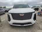 2025 CADILLAC ESCALADE