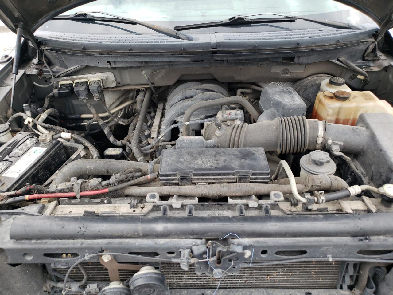 2010 FORD F-150