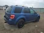 2009 FORD ESCAPE