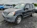 2006 HONDA CR-V