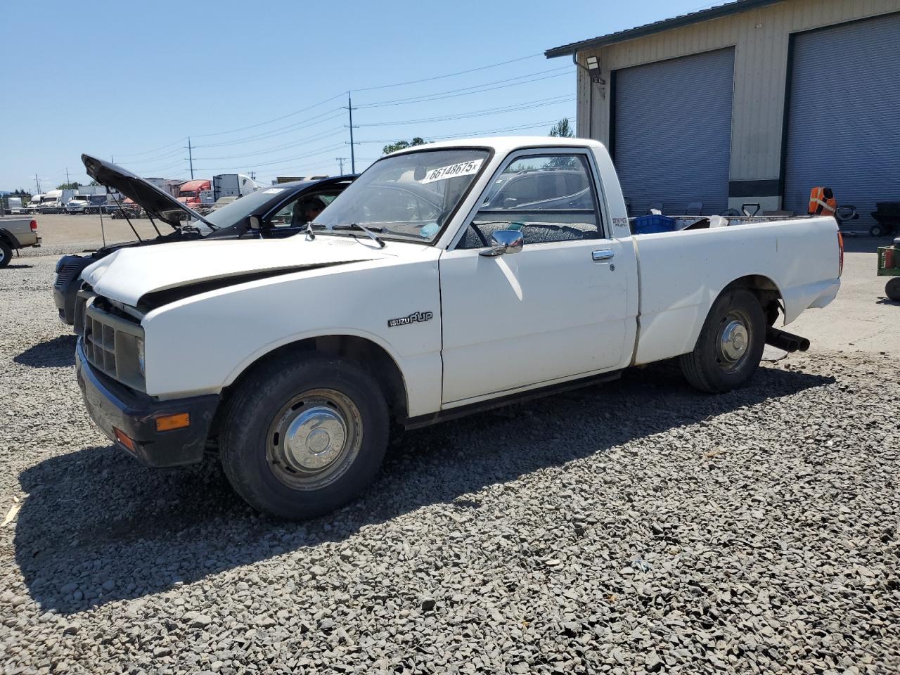 1984 ISUZU Pup
