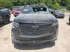2024 CADILLAC ESCALADE