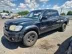 2004 TOYOTA TUNDRA