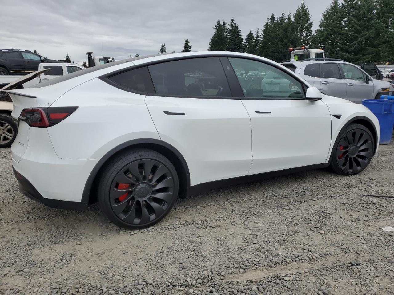 2025 TESLA MODEL Y