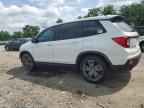 2019 HONDA Passport
