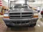 2003 DODGE Dakota