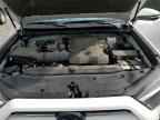 2024 TOYOTA 4Runner