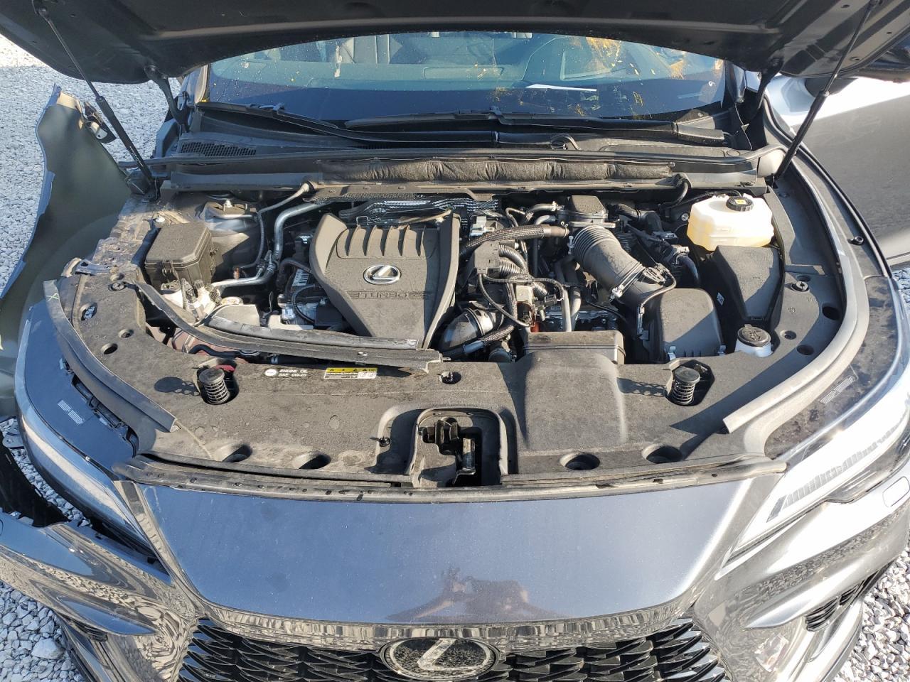 2024 LEXUS Rx