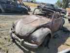 1972 VOLKSWAGEN Beetle