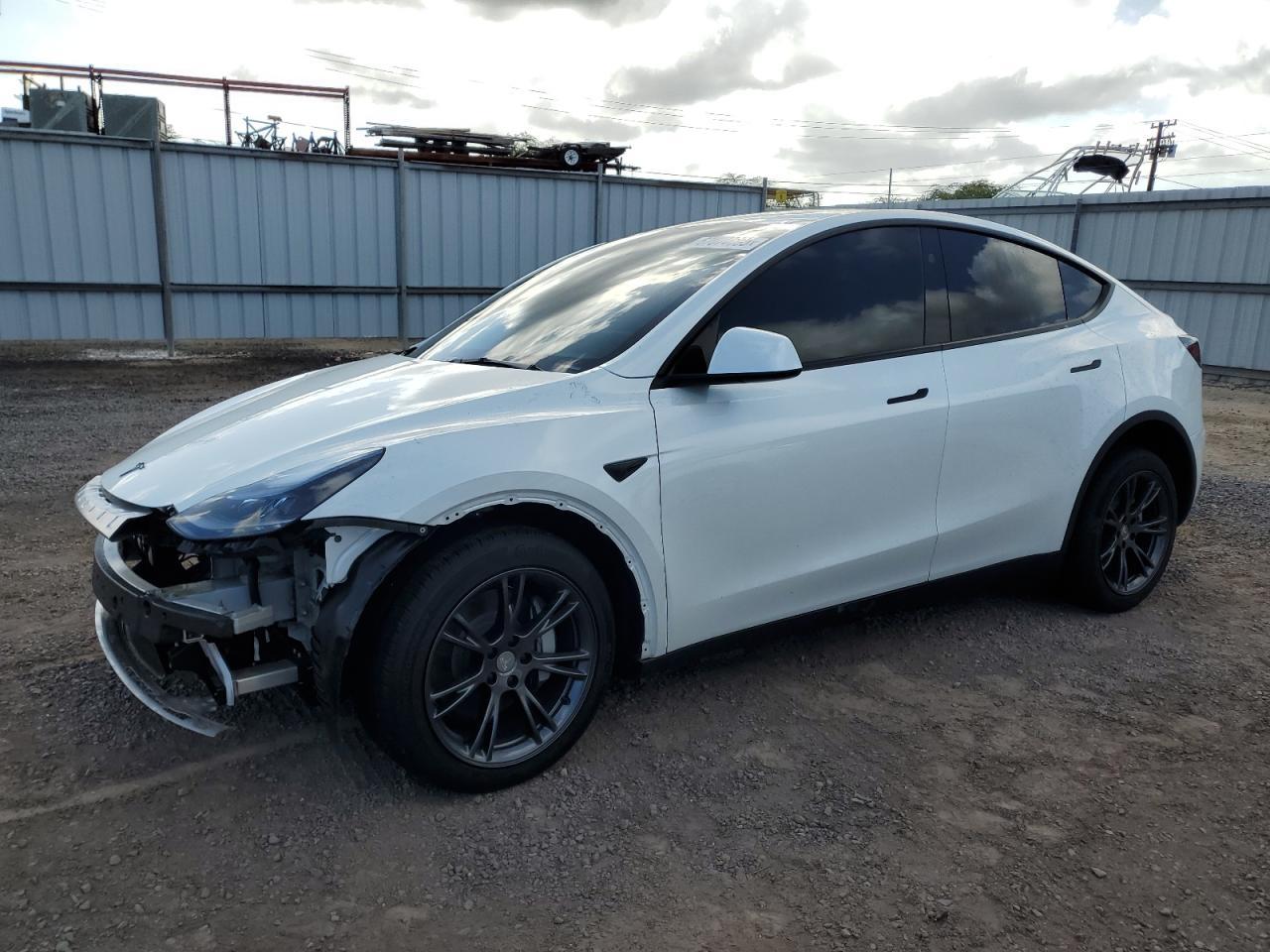 2025 TESLA MODEL Y