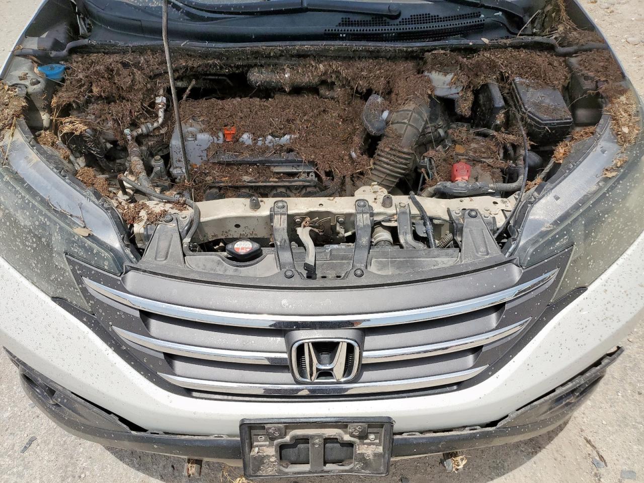 2013 HONDA CR-V