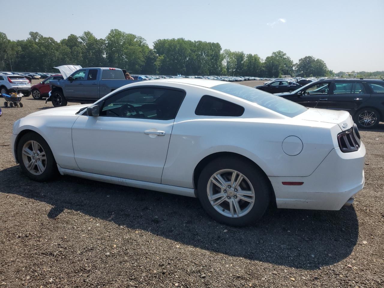 2014 FORD MUSTANG