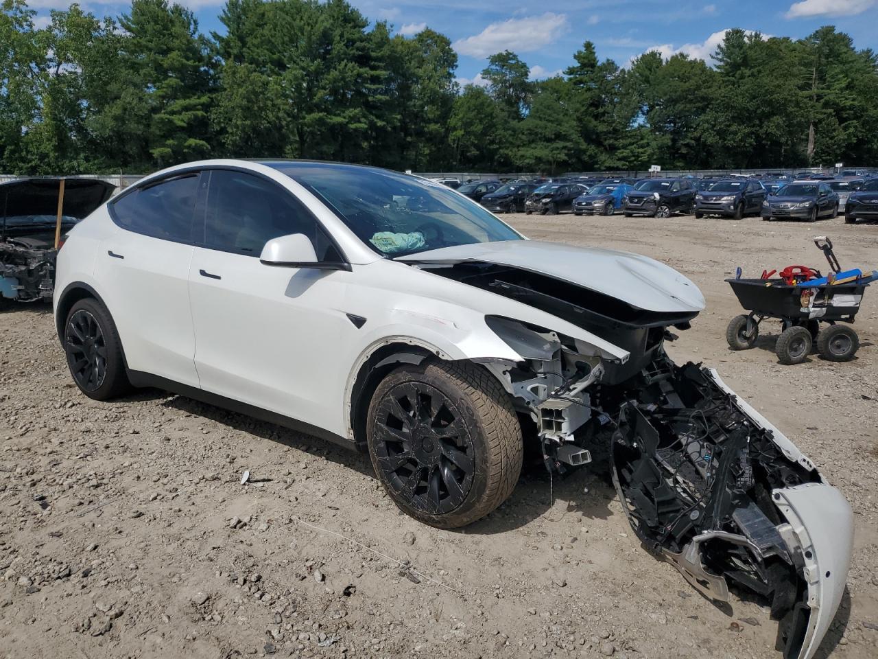 2021 TESLA MODEL Y