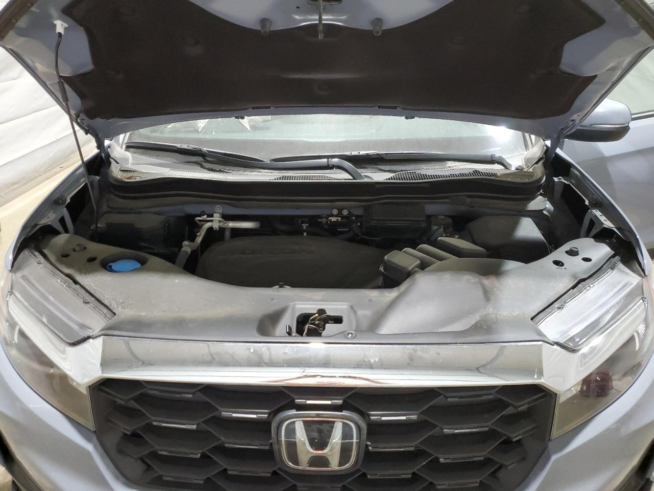 2023 HONDA Passport