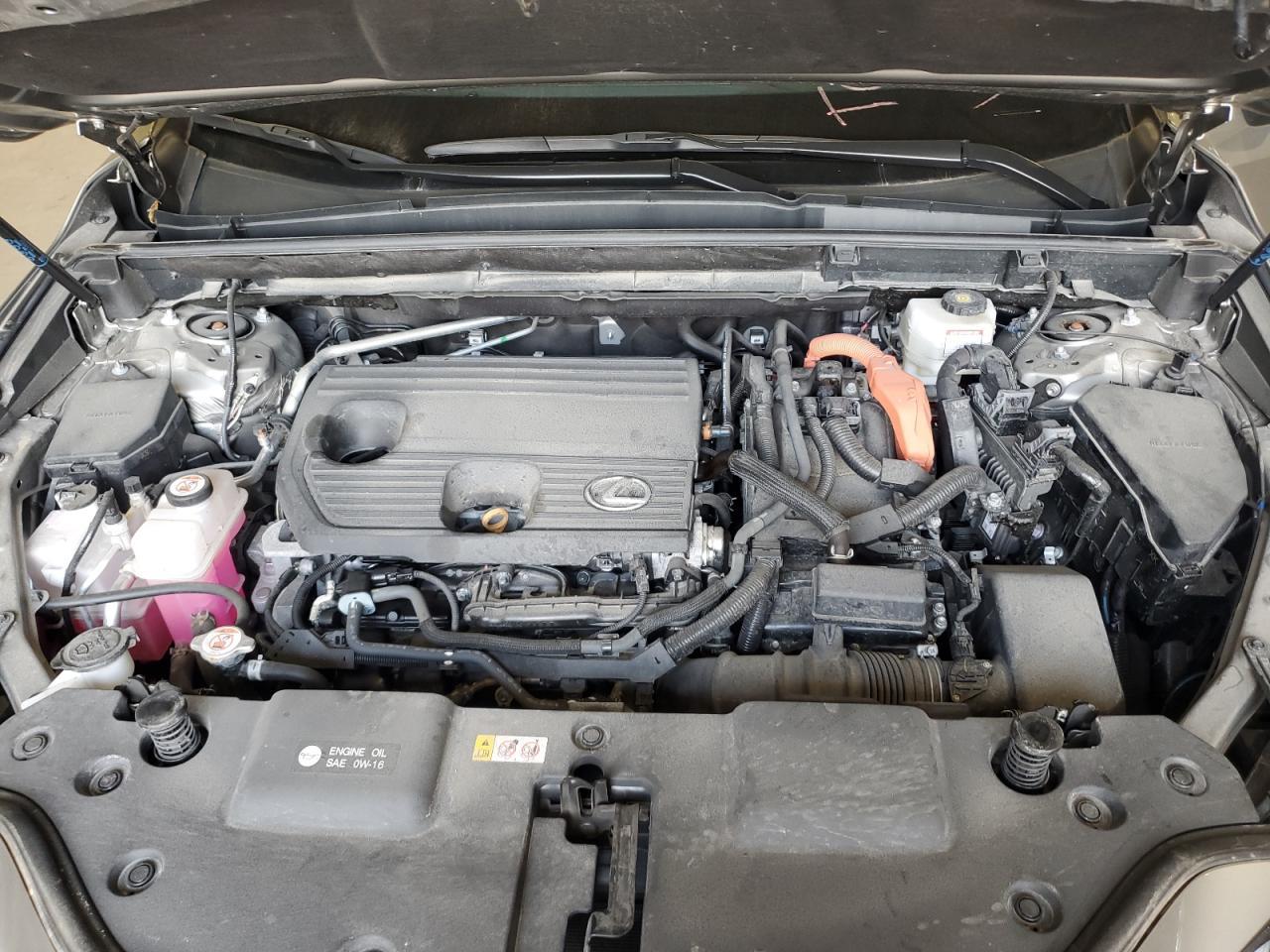 2024 LEXUS NX 350H