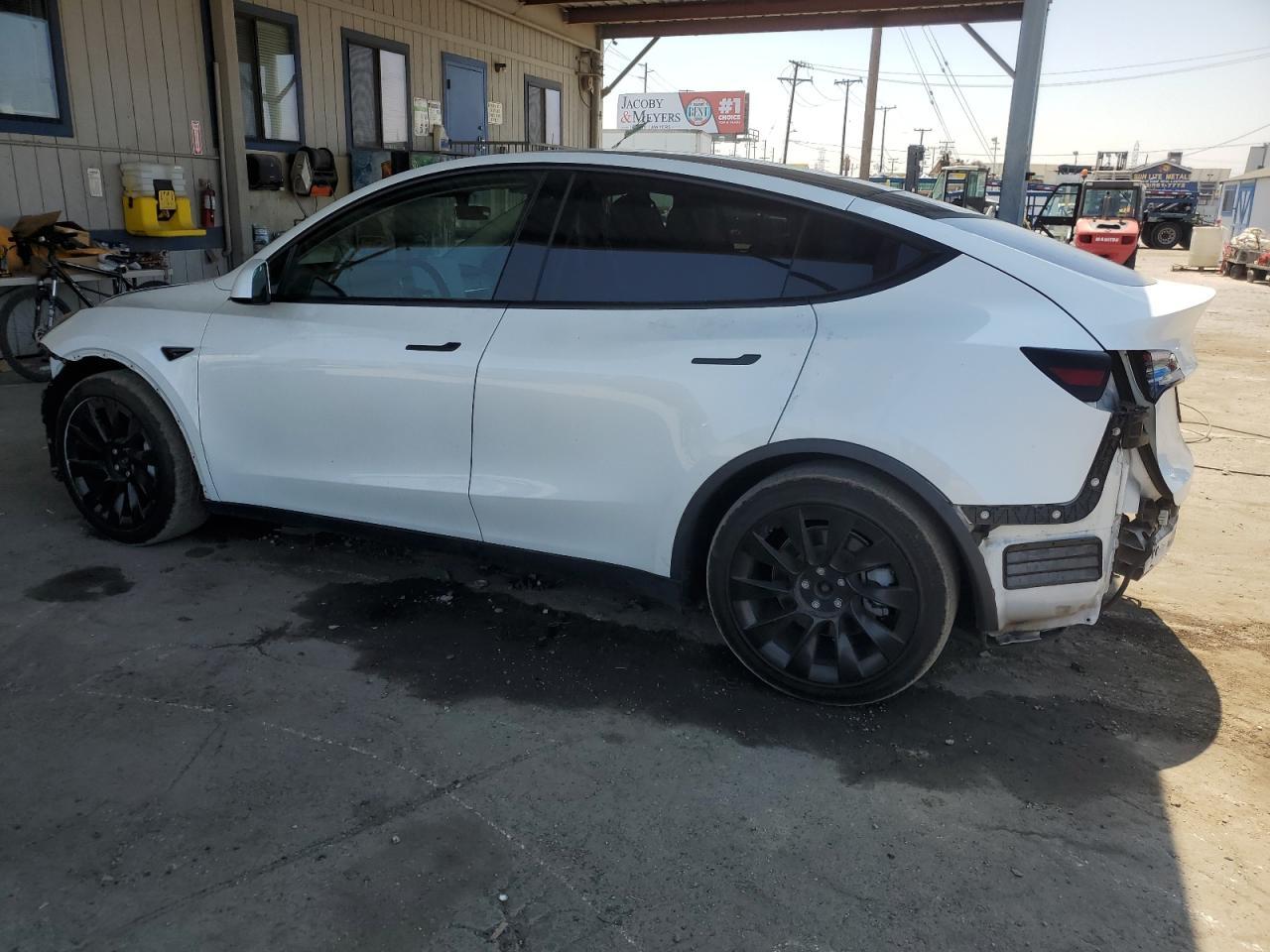 2021 TESLA MODEL Y