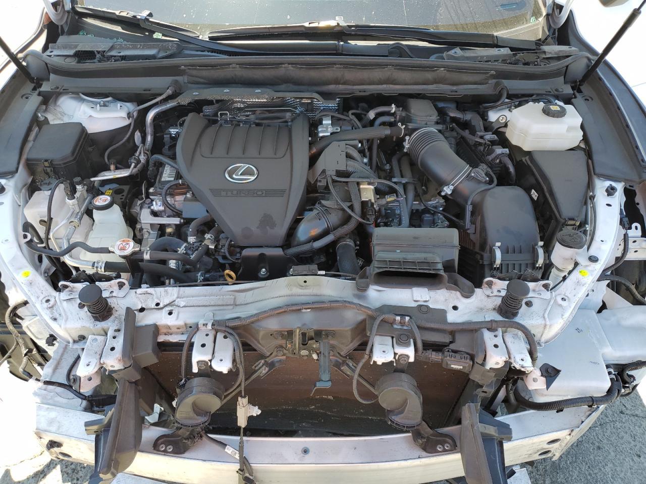 2024 LEXUS Rx