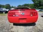 2008 FORD MUSTANG
