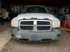 2006 DODGE Dakota