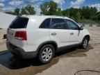 2013 KIA SORENTO