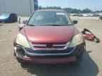 2010 HONDA CR-V