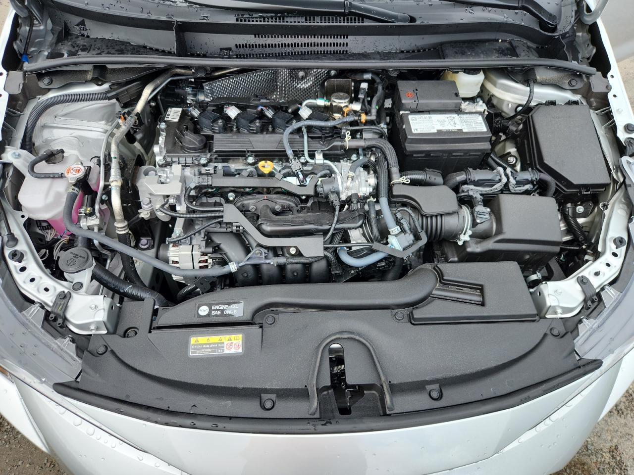 2025 TOYOTA COROLLA