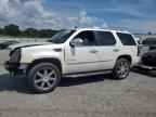 2014 CADILLAC ESCALADE