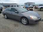 2006 HONDA ACCORD