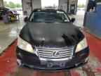 2010 LEXUS Es
