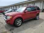2012 FORD ESCAPE
