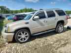 2011 CADILLAC ESCALADE