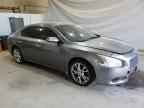2014 NISSAN Maxima