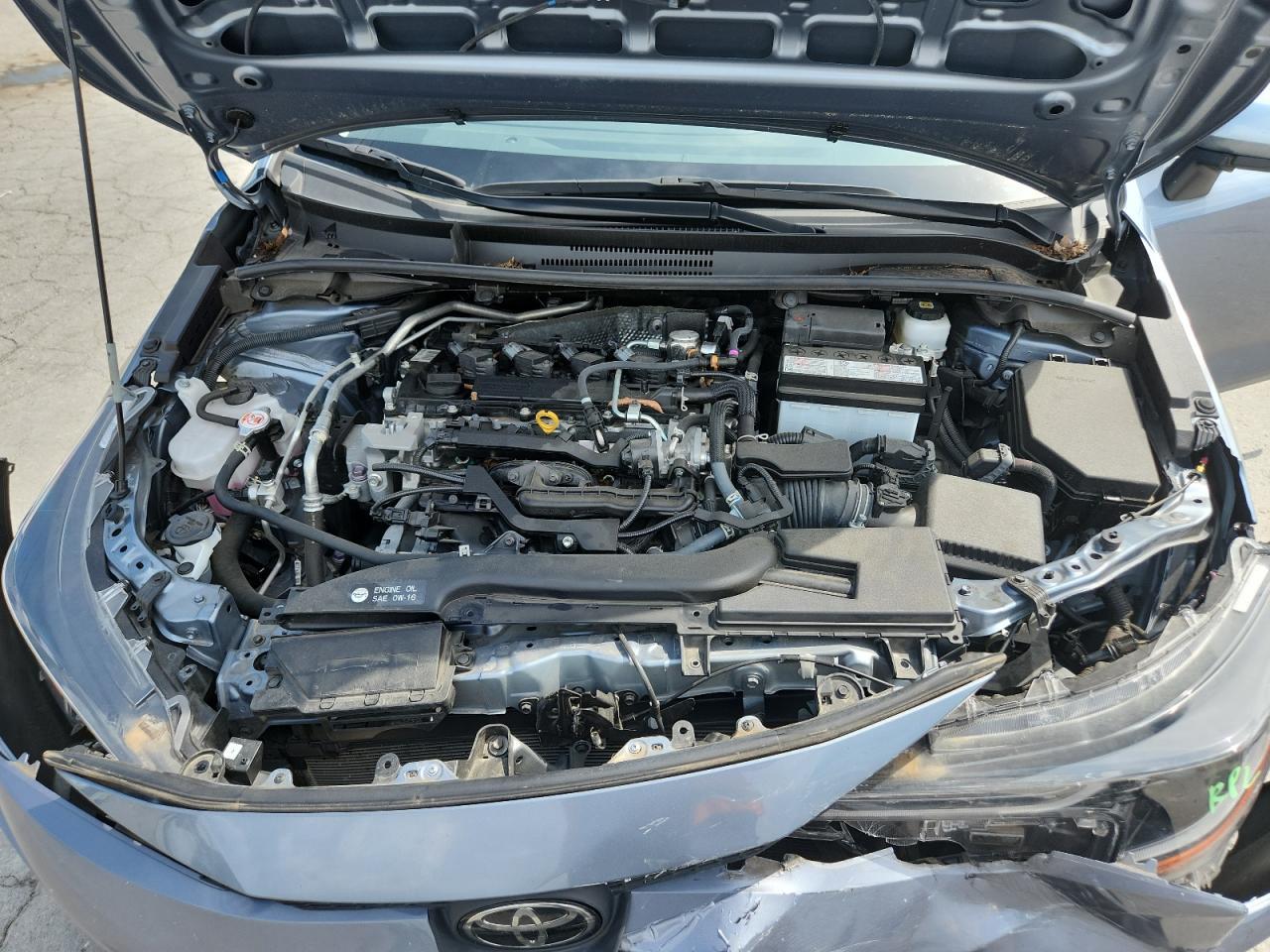 2023 TOYOTA COROLLA