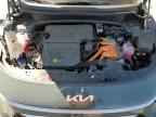 2025 KIA Niro
