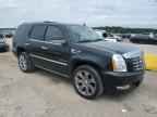 2010 CADILLAC ESCALADE