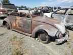 1972 VOLKSWAGEN Beetle