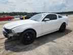 2013 FORD MUSTANG