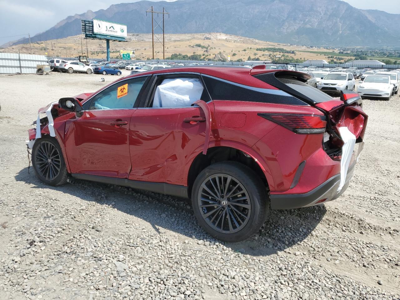 2025 LEXUS Rx