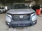 2019 HONDA Passport