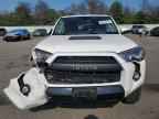 2019 TOYOTA 4Runner