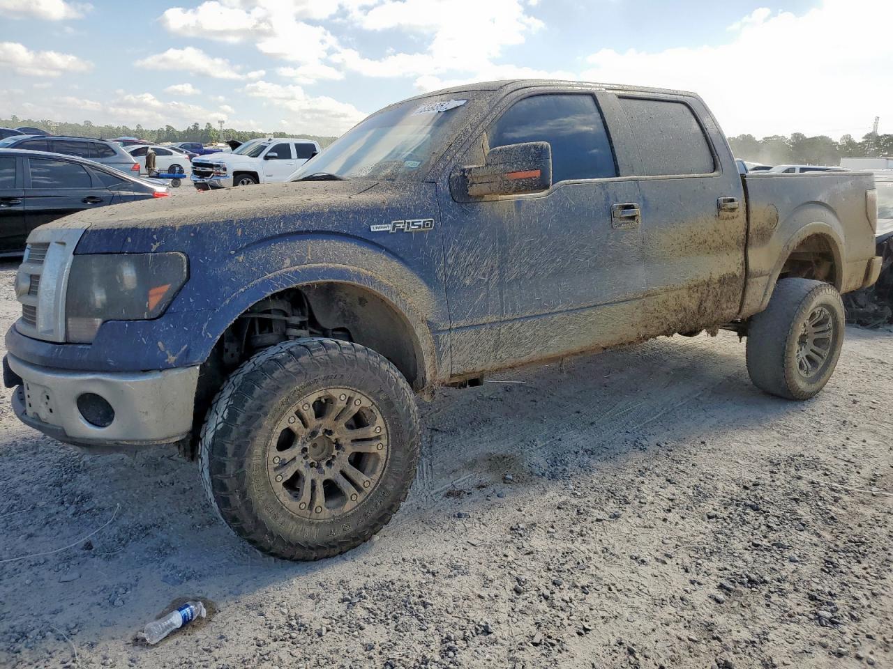 2010 FORD F-150