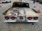 1959 FORD Tbird