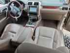 2013 LEXUS GS 460