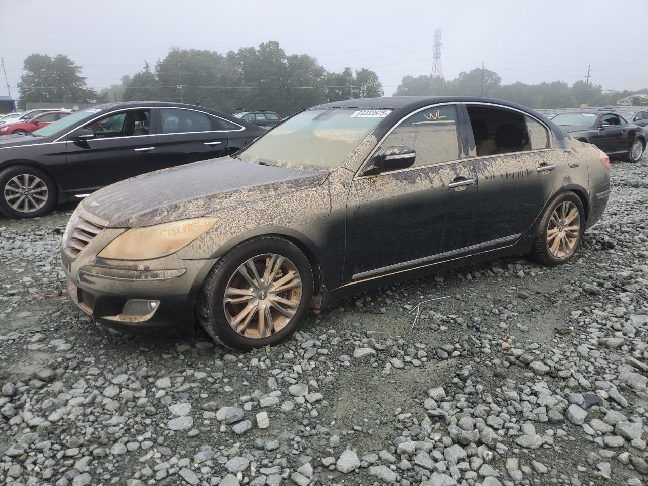 2011 HYUNDAI GENESIS