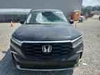2024 HONDA PILOT