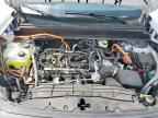 2025 FORD Maverick