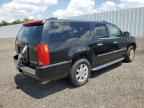 2010 CADILLAC ESCALADE