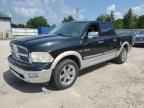 2009 DODGE RAM 1500